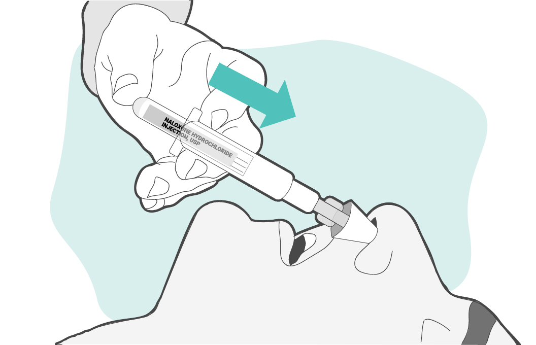 Spray half the vial into each nostril by pushing it up into the tube
